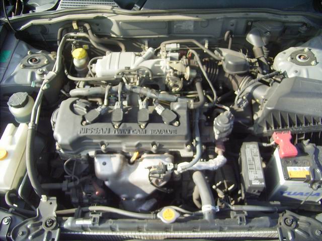 2001 Nissan Bluebird Sylphy Photos