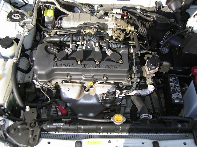 2001 Nissan Bluebird Sylphy Pictures