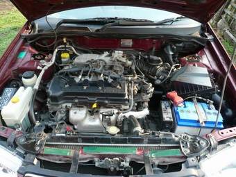 2001 Nissan Bluebird Sylphy Photos