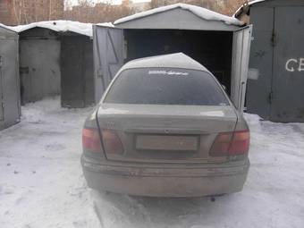 2001 Nissan Bluebird Sylphy Photos