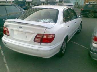 Bluebird Sylphy