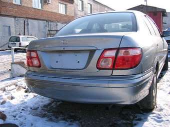 Bluebird Sylphy