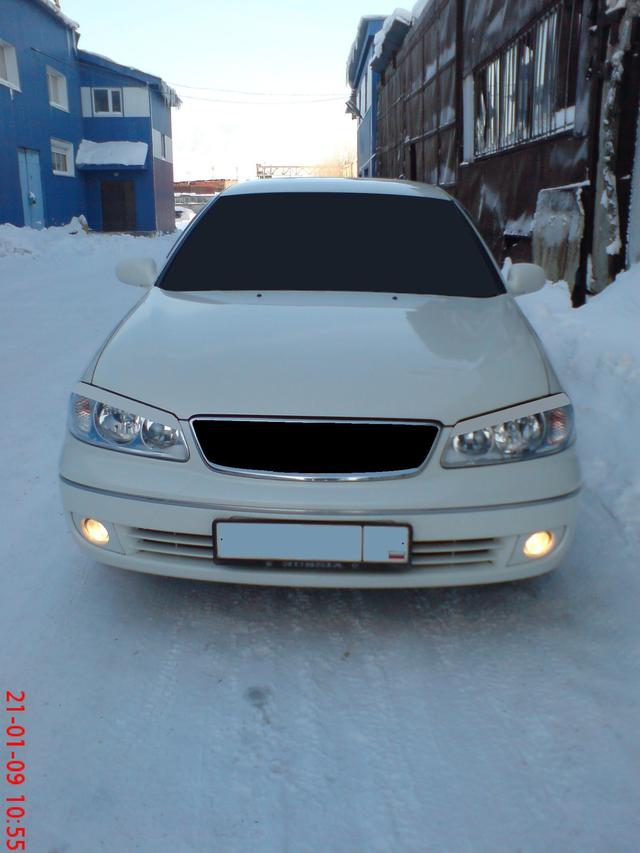 блюберд силфи тюнинг