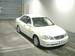 Pictures Nissan Bluebird Sylphy