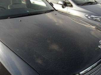 2002 Nissan Cedric Photos