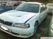 For Sale Nissan Cefiro