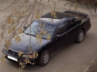 1996 Nissan Cefiro Photos