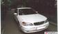 Pictures Nissan Cefiro