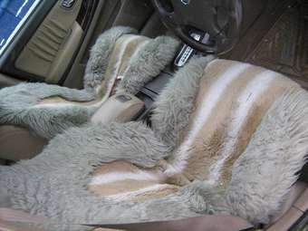 2002 Nissan Cefiro Pictures