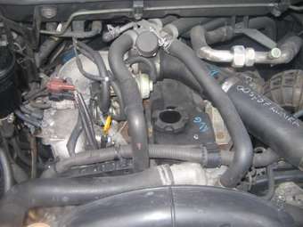 1999 Nissan Elgrand For Sale