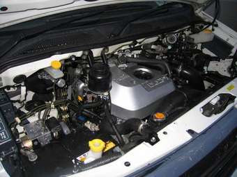 2001 Nissan Elgrand Photos