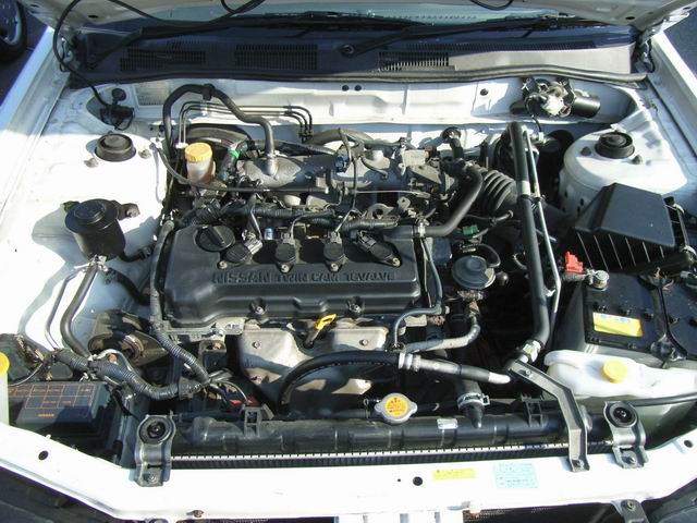 1999 Nissan Expert Pictures