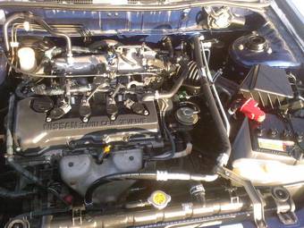1999 Nissan Expert Pics