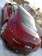 Preview Nissan Fairlady Z