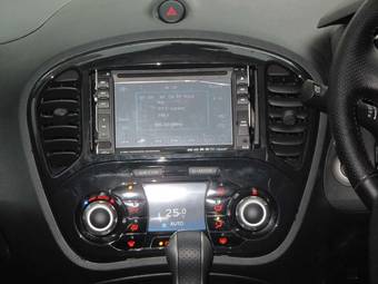 2011 Nissan Juke Pictures