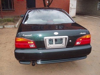 Laurel