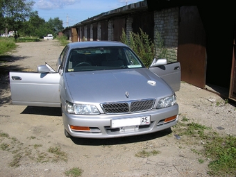 Laurel