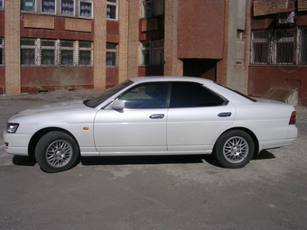 Laurel