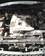 For Sale Nissan Laurel