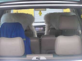 2001 Nissan Liberty Pictures