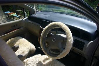 2003 Nissan Liberty Photos