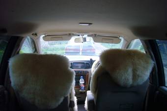 2003 Nissan Liberty For Sale