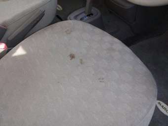2002 Nissan March Photos