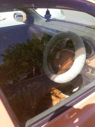 2002 Nissan March Pics