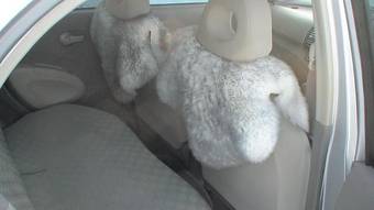 2003 Nissan March Pictures