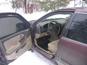 Maxima