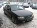 Preview Maxima