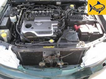 2001 Nissan Maxima Photos