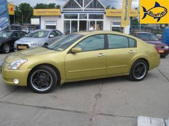 2003 Nissan Maxima Pictures