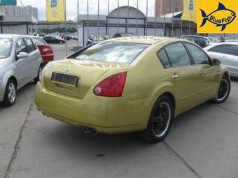 2003 Nissan Maxima Pictures