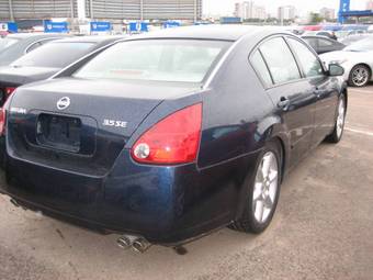 2003 Nissan Maxima Pictures