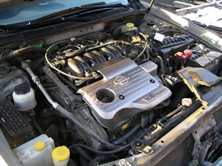 2005 Nissan Maxima Pictures