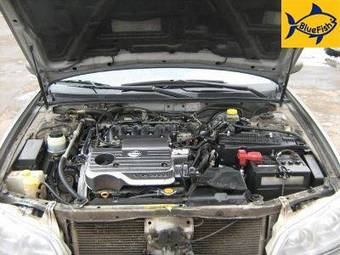 2005 Nissan Maxima Pictures
