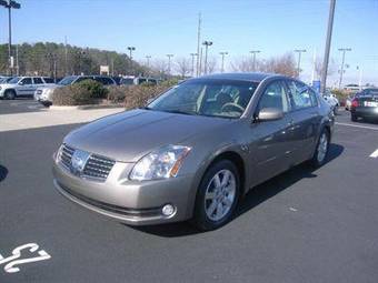 2006 Nissan Maxima Pictures