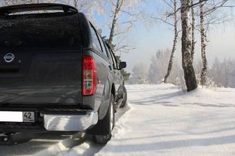 2010 Nissan Navara Pictures