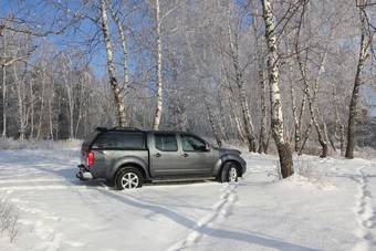 2010 Nissan Navara Pictures