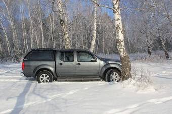 2010 Nissan Navara Pictures