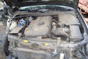 2008 Nissan Pathfinder Photos