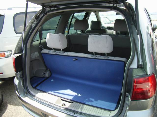 2000 Nissan Prairie Pictures