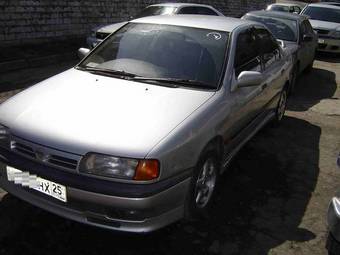 1993 Primera