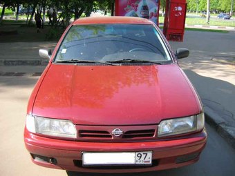 1993 Nissan Primera Pictures