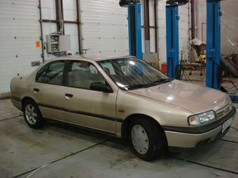 1993 Nissan Primera Pictures