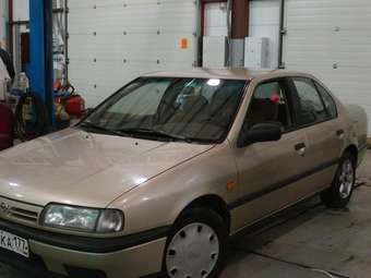 1993 Nissan Primera Pictures