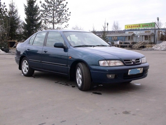 1998 Primera