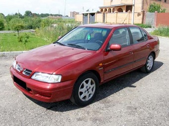 1998 Nissan Primera For Sale