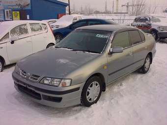 Nissan Primera